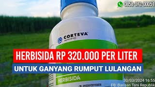 HERBISIDA RP 320000 PER LITER Untuk Ganyang Rumput Lulangan atau Jampang [upl. by Esmerolda]