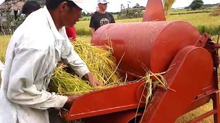 Champion in Rice Threshing Contest quotFASTBELT Rice Thresherquot [upl. by Crista39]