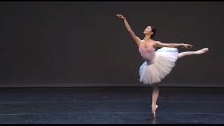 Ballet Evolved The Evolution of Pointe Work [upl. by Akeinahs]