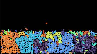 Growing quasicrystals by dynamic aggregation of pentagons [upl. by Idzik931]