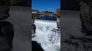 YOU CANNOT CONTROL WHAT IS WILD  Dams Break The Chain Of Wildlife Habitat On The Spokane River [upl. by Merce]