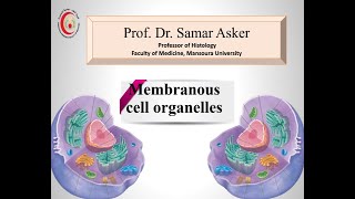 Membranous cell organelles New Dr Samar Asker [upl. by Mimi]