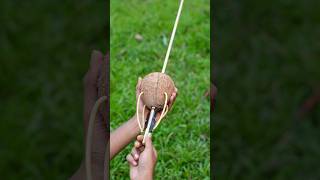 Creative Coconut Arrow Project Unique DIY with Simple Materials [upl. by Airasor845]