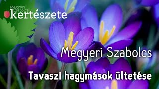 Tavaszi Tulipán hagymások ültetése ősszel [upl. by Alletnahs]