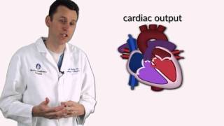 quotVentricular Septal Defectsquot by Dr David Bailly for OPENPediatrics [upl. by Notselrahc720]