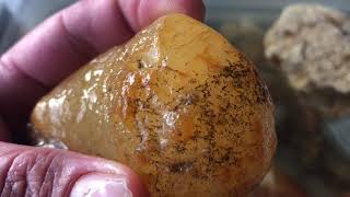 Cleaning Agates amp Chalcedony Citric Acid VS Creek Scum [upl. by Lyon]