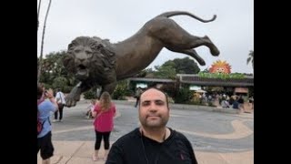 A Day at the San Diego Zoo 🐾🌿 [upl. by Adnawyek757]