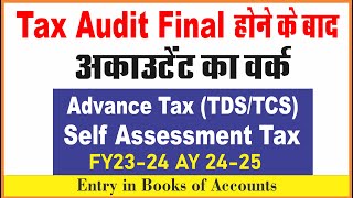 Accountant Work in Tax Audit  Advance Tax Deposit Entry in Tally Prime  SelfAssessment Tax Entry [upl. by Hpesoj]