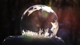 Watch soap bubbles freeze in real time [upl. by Enautna]