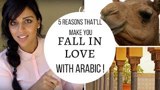 5 Reasons Thatll Make You Fall in Love with Arabic 1 [upl. by Fries]