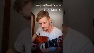 Alegrías Daniel Casares Trasmallo Introducciónshorts flamenco flamencoguitar alegriasdecadiz [upl. by Merell]