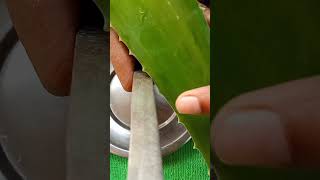 Aloe Vera Face Pack I Apply 4 Overnight Aloe Vera Gel For Clear Glowing Skin amp Spotless Skin [upl. by Ydollem]