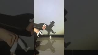 Michael Jacksons SMOOTH CRIMINAL Dance in Shadow Puppet Form [upl. by Aihsyn282]