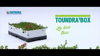 TOUNDRABOX  la box végétalisée précultivée  SOPREMA Particuliers [upl. by Rehttam]