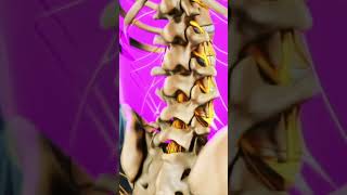 what is lordosis lordosis therapy youtubeshort youtubevideos youtubeindia [upl. by Barolet683]