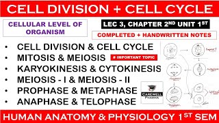 Cell division  Cell Cycle  Mitosis  Meiosis  L3 Ch2 Unit 1 hap 1st semester  Carewell Pharma [upl. by Nacnud]