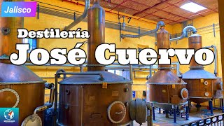 Tour DESTILERIA JOSE CUERVO en Tequila Jalisco Tour por Tequila MEXICO [upl. by Mazman998]