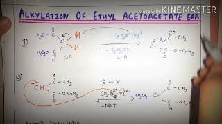 Alkylation of ethyl acetoacetate Acetoester synthesis previous paperOrganic Chemistry Bsc3 [upl. by Longawa]