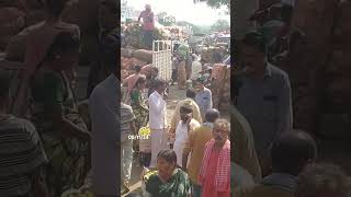 Today bowenpally market vegetable vegitablemarket shorts plzdosuporrtmychanlfriends subscribe [upl. by Gnauq]