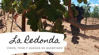 La Redonda Querétaro Precios paseo por los viñedos degustación de vinos tour vendimia y más [upl. by Eiramanad453]