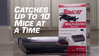 How to Get Rid of Mice Using the Tomcat® MultiCatch and Release Mouse Trap [upl. by Langham]