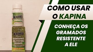 Kapina como utilizar e quais os gramados resistente a ele [upl. by Haronid439]