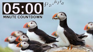 Relaxing Nature Puffin 5 Minute Countdown Timer with Music For Kids [upl. by Eliades315]