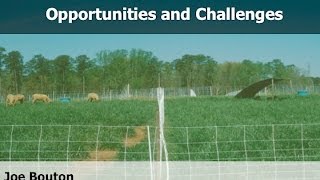 Novel Endophyte Tall Fescue Challenges and Opportunities  Joe Bouton Bouton Consulting [upl. by Inglis]