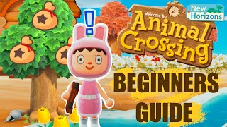 The Ultimate Beginners Guide  Animal Crossing New Horizons Tips amp Tricks [upl. by Elylrac]