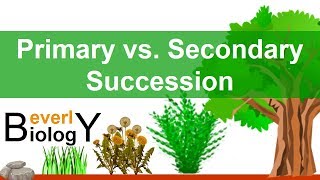 Primary vs Secondary Ecological Succession [upl. by Leahplar]