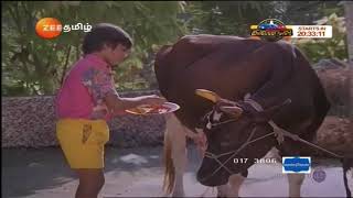 Naan Petradutha Pillai Simbu Gomatha songs TR hits [upl. by Cirdec]