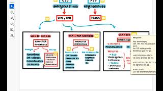 📚ANEMIA parte 3💉ANEMIA🏥NORMOCITICA NORMOCROMICA🩺MEGALOBLASTICA🧠ANEMIA HEMOLITICA [upl. by Suolkcin]