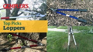 Loppers Top Picks to Help Make Pruning Easy [upl. by Huda]