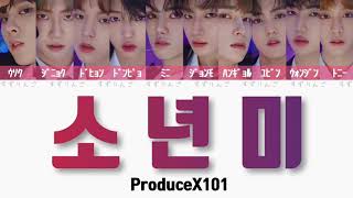 【ProduceX101】소년미 少年美Boyness〈かなるび歌詞日本語訳〉ファイナル デビュー評価 [upl. by Maren622]