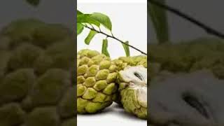 Sithapalam fruit health benefits health food benefits telugu trending shorts [upl. by Kitchen]