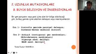 Mutasyonlar II  Kromozom ve Gen MutasyonlarıPart2 [upl. by Voccola730]