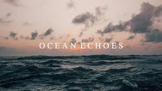 OCEAN ECHOES  Beautiful Piano Song Relaxing Ocean Waves Perfect for Sadge Farming ｜BigRicePiano [upl. by Parish895]