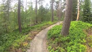 Anagach Woods MTB Trails Grantown on Spey [upl. by Jo Ann608]