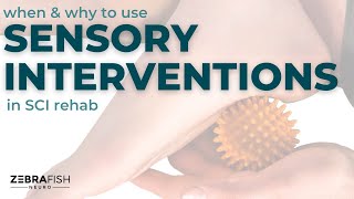 Spinal cord injury rehab amp recovery tips Why and when to use sensory interventions [upl. by Athalla]