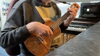 Buckets Of Rain  Bob Dylan  Arrangedampplayed on ukulele by Colin Tribe [upl. by Serena]