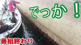 堤防の外側から釣りをするだけで461話目 [upl. by Ihsakat]