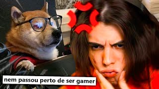 fazendo os testes mais DETESTÁVEIS da internet ft Tiba e Kojj [upl. by Peterus]