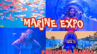 Perinthalmanna Marine Expo 2024🧜‍♀️🧞‍♀️🐟🐠🦭 [upl. by Jablon]