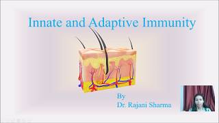 Innate and Adaptive Immunity [upl. by Chaffin]