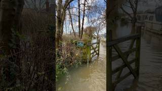 Thames flood CookhamBourne End 6 Jan 2024 [upl. by Marcello]