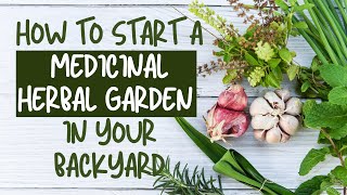 Start a Medicinal Herbal Garden in your Backyard Unlock Medicinal Herbals [upl. by Niarfe333]