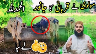 Alhamdulillah qurbani Ka janwar la liya  Molvi vlogs [upl. by Laerdna]