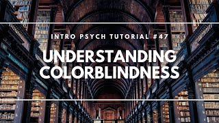 Understanding Colorblindness Intro Psych Tutorial 47 [upl. by Ernestus]