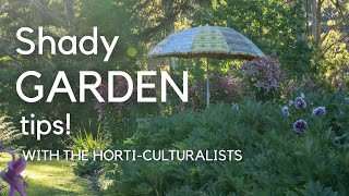 Shade gardening success with The HortiCulturalists  how to choose the best plants for shade [upl. by Hagen211]