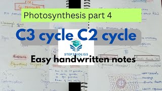 Photosynthesis part 4l C3cycle C4 cycle l with easy handwritten notes l neet Shwetayadav6119 [upl. by Yhtir]